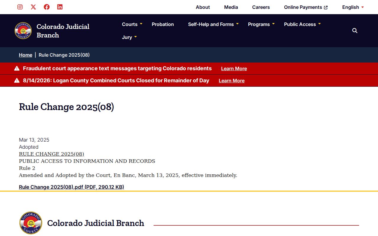 Las Animas County civil docket Public Access Rule 2 page